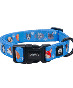 Vòng Cổ Chó Mèo  – Laws For Paws